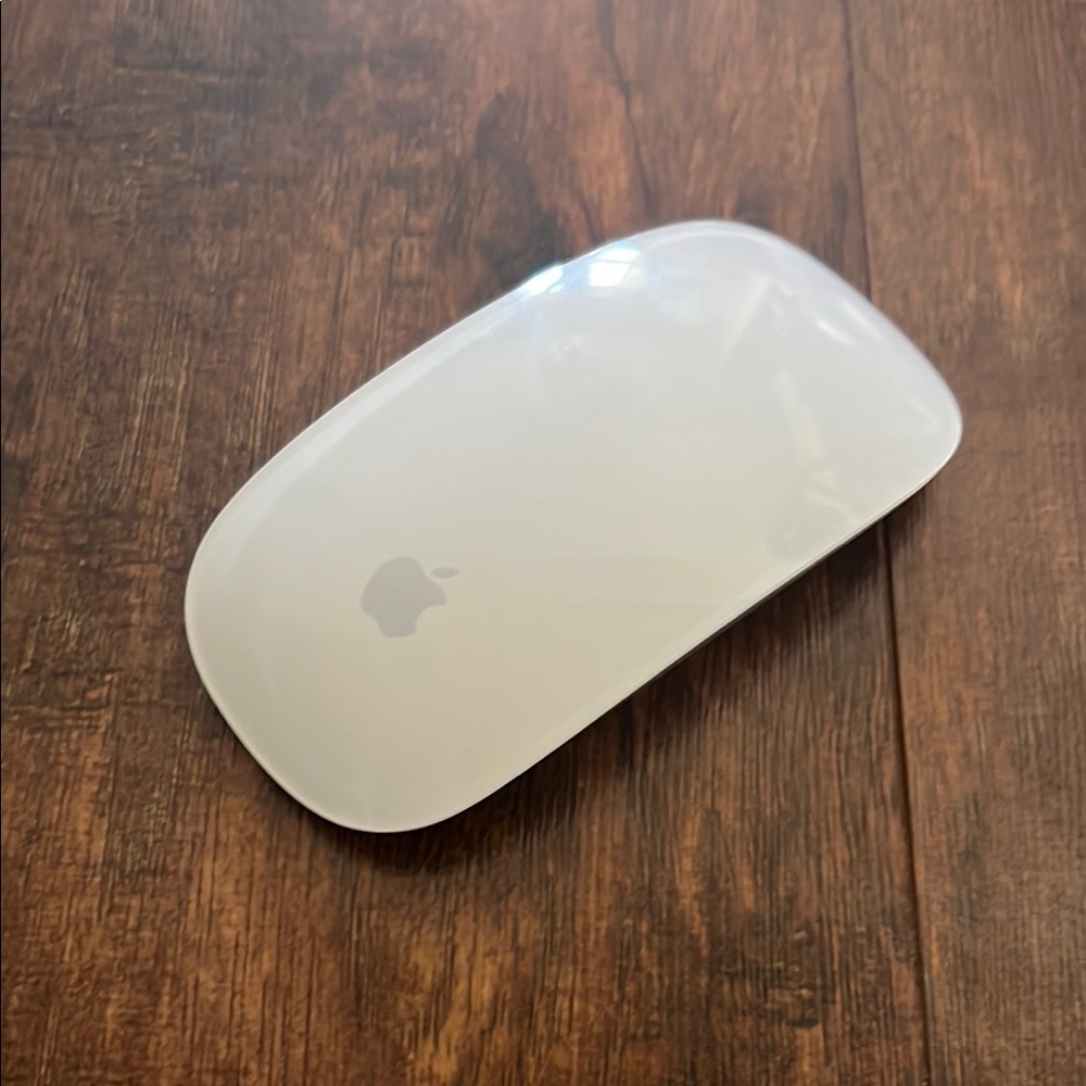 Apple Wireless MagicMouse